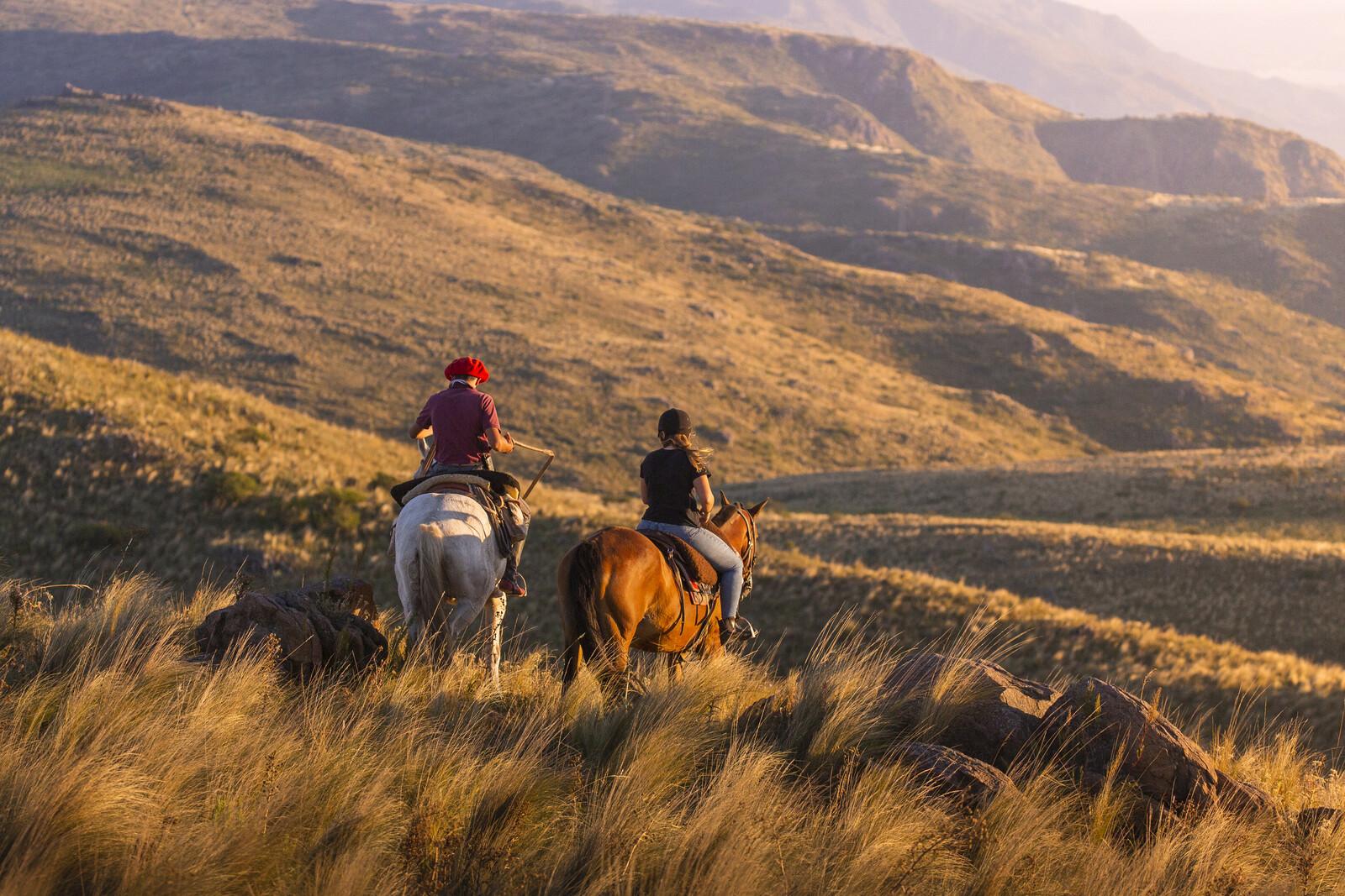 Polo te paard trainingsweek in Argentinië