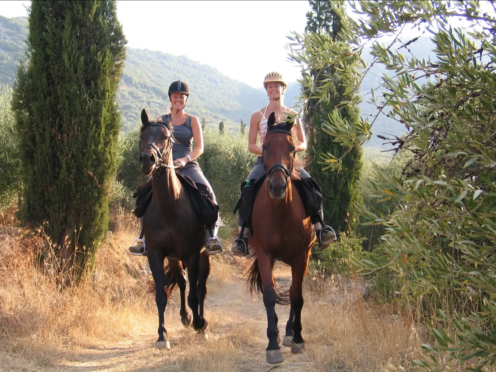 paardrijden in prachtige Griekse omgeving