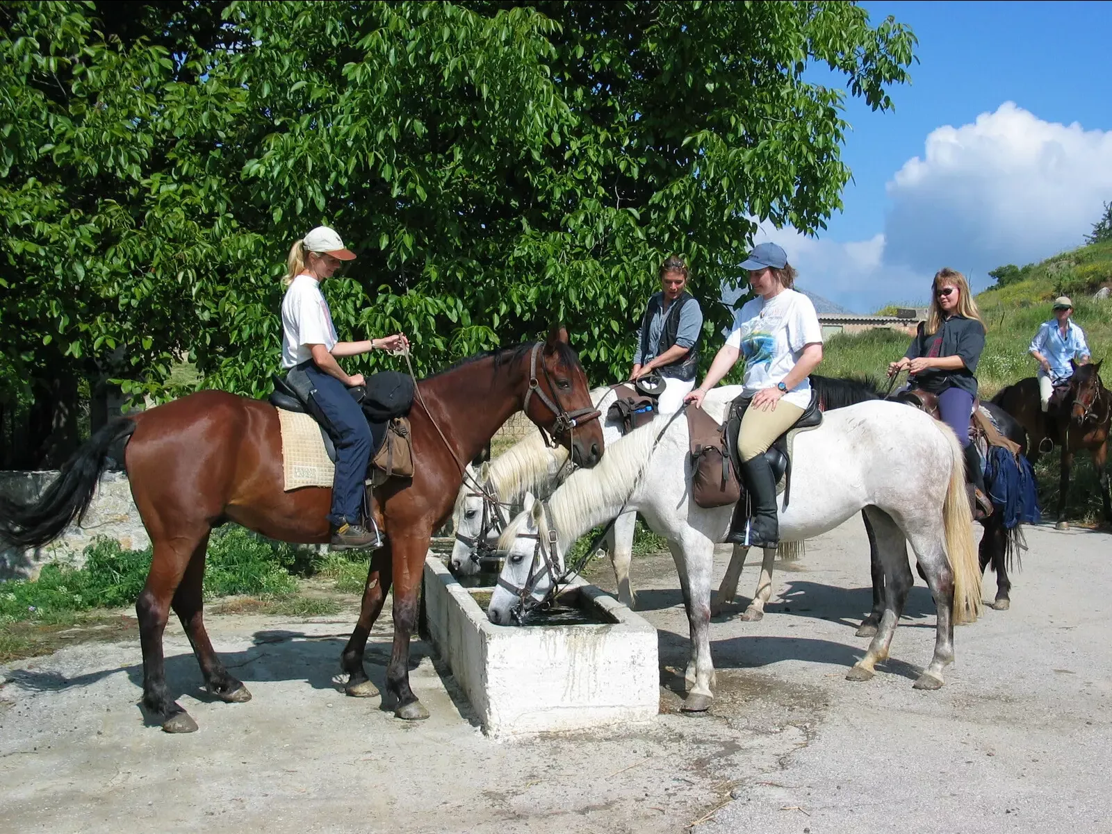 paarden laten drinken tijdens paardrijdvakantie in Griekenland