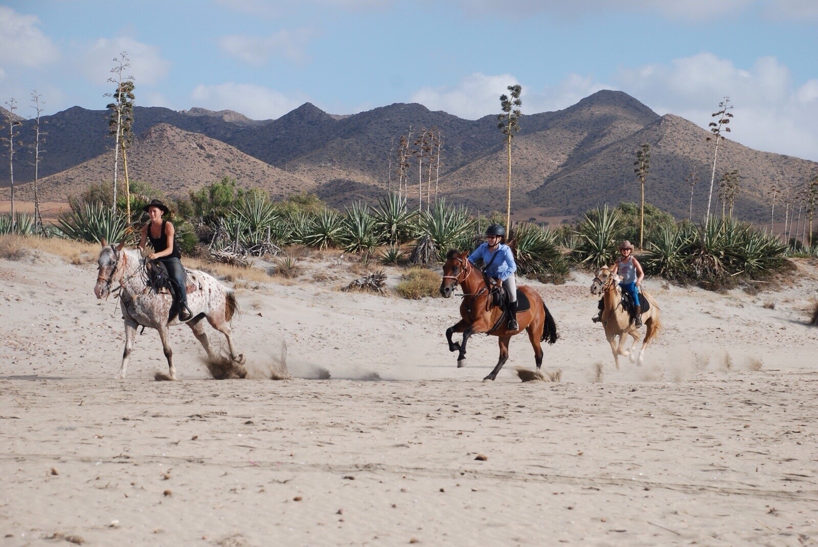 Paardrijden langs Zee: de verlaten stranden van Andalusië