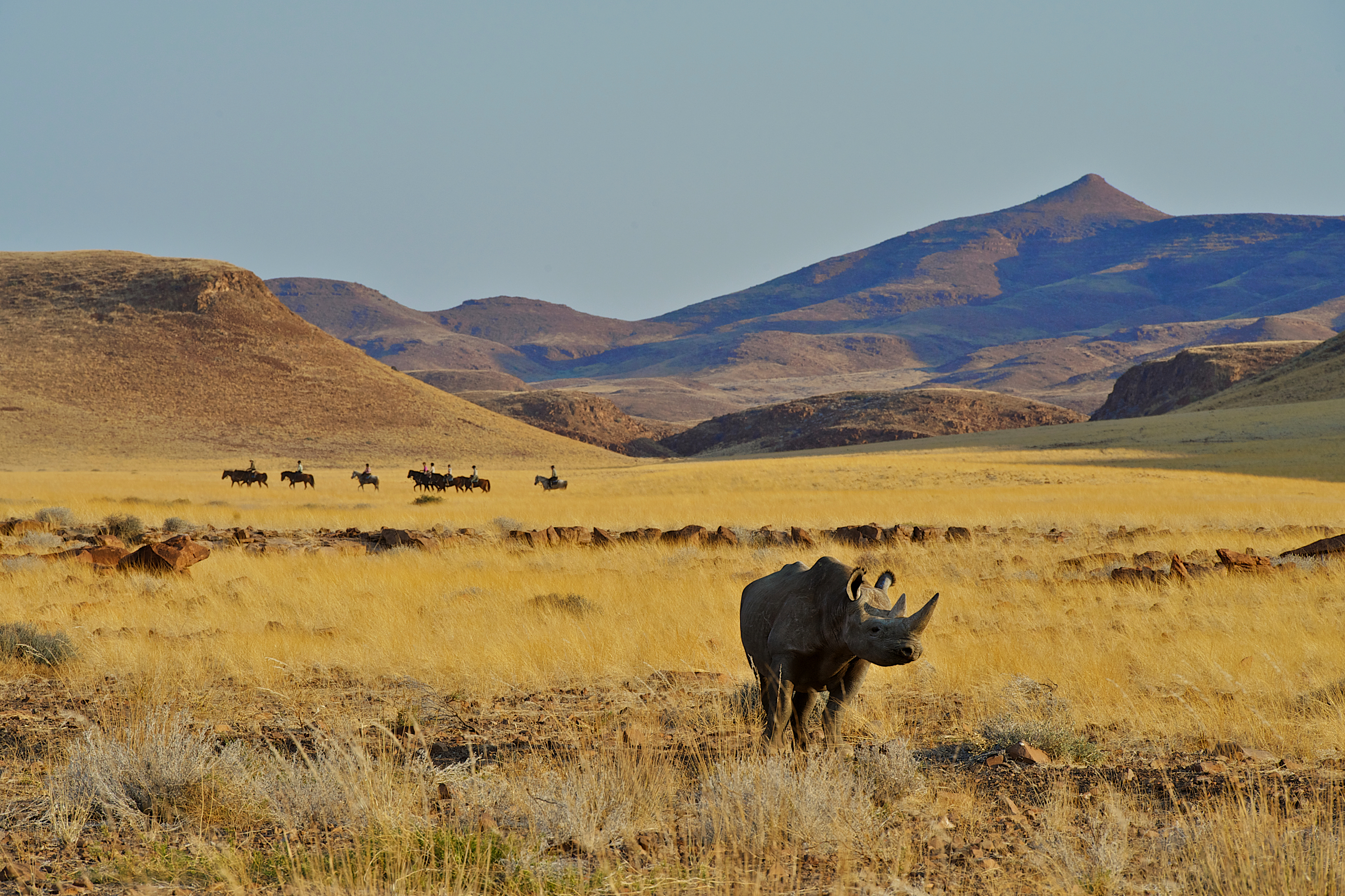 34_namibie.jpg