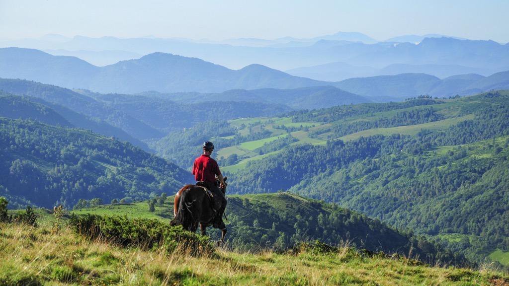 Op grote hoogte te paard over de Herderstrail