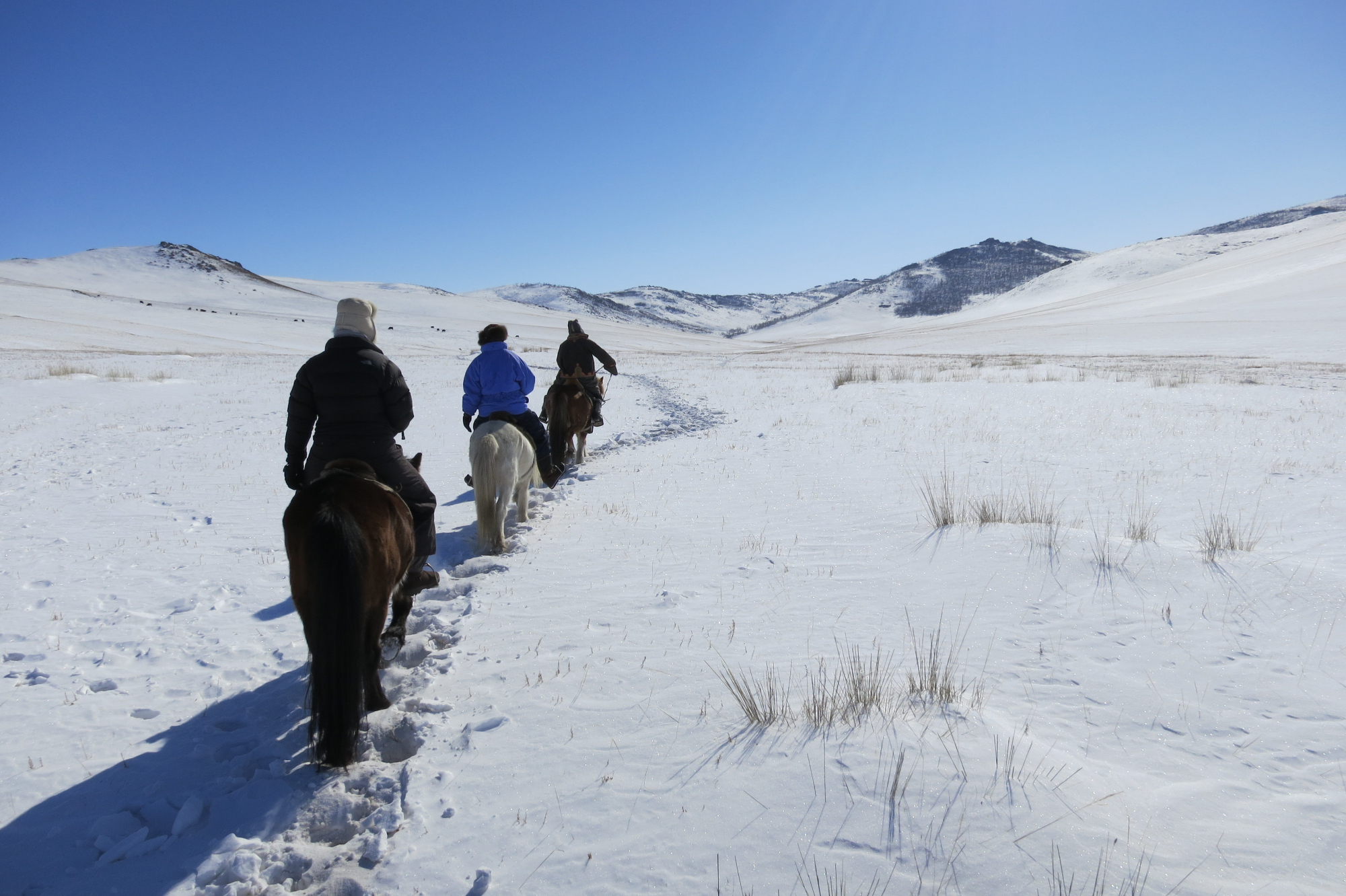 Trektocht door Mongolië