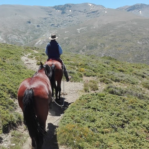 Paardrijden inHemelse Buena Vista, Spanje