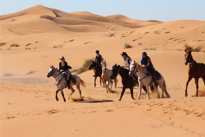 Paardrijden in Marokko
