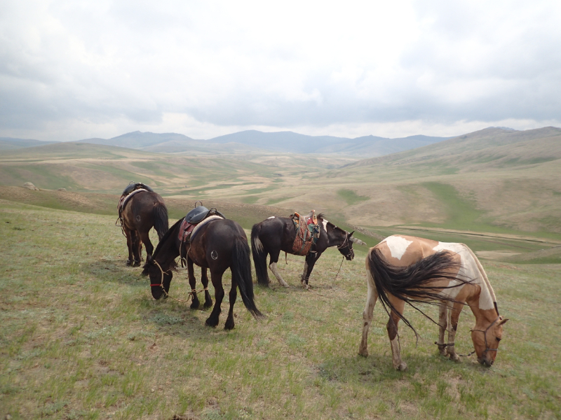 Paard rijden Centraal-Azië