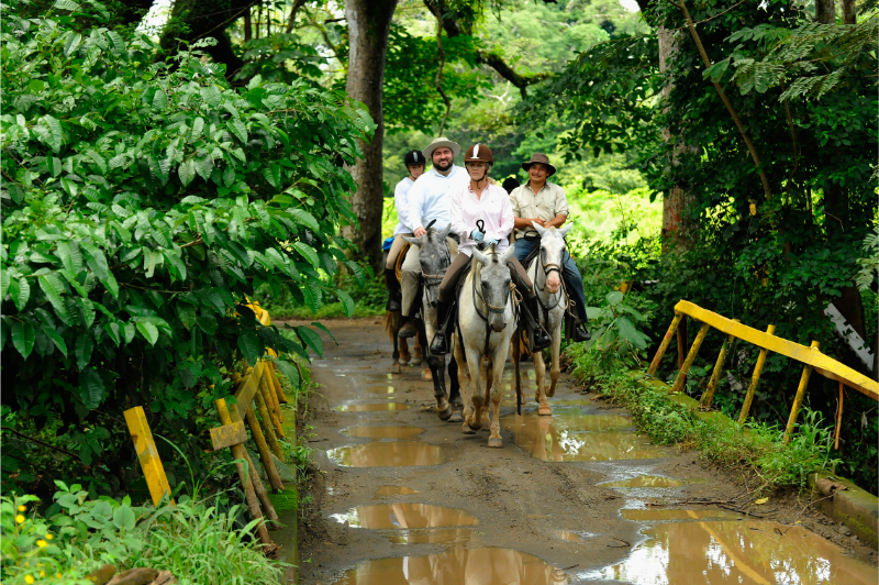 Paardrijden in Costa Rica