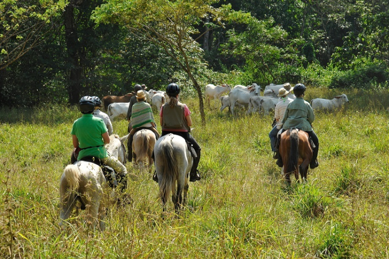 Paardvakantie Costa Rica