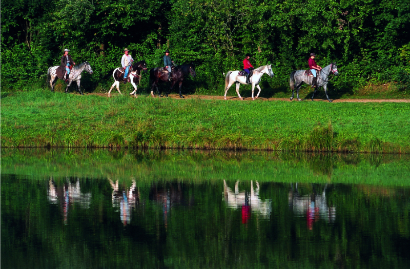 Paardrijden in Duitsland