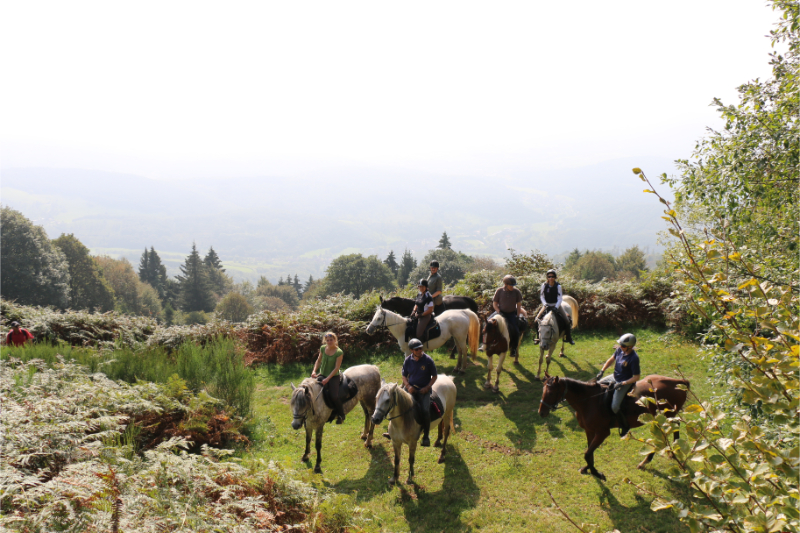 Paardrijden in Elzas, Frankrijk
