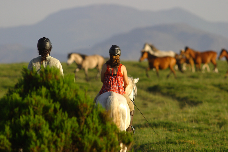 Paardrijden in Portugal