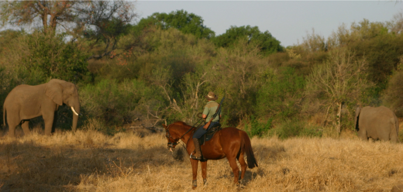 Te paard in Botswana