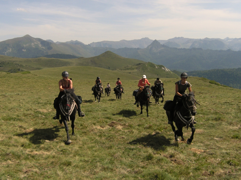 Trektocht te paard in Frankrijk
