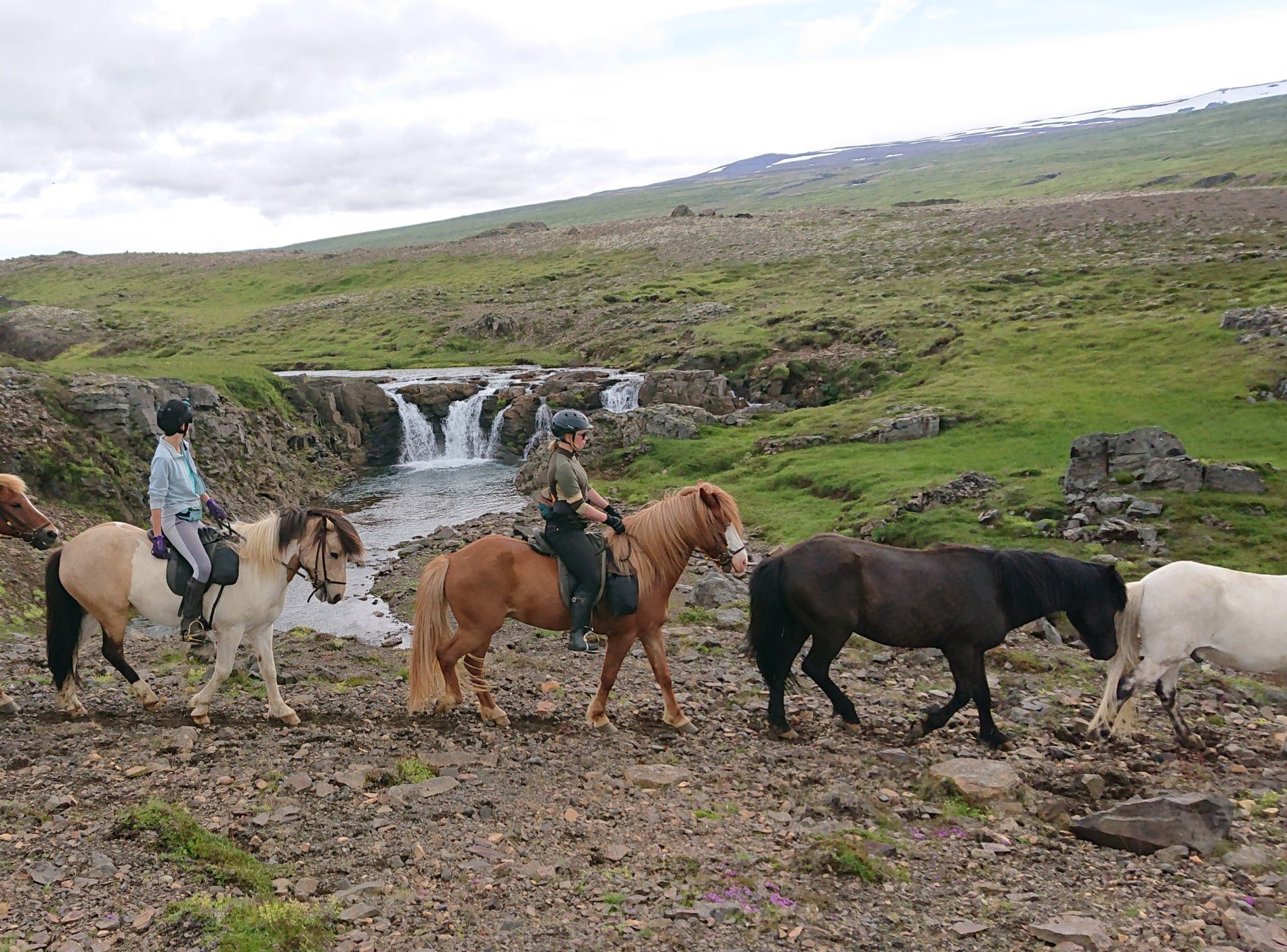 Trektocht IJsland