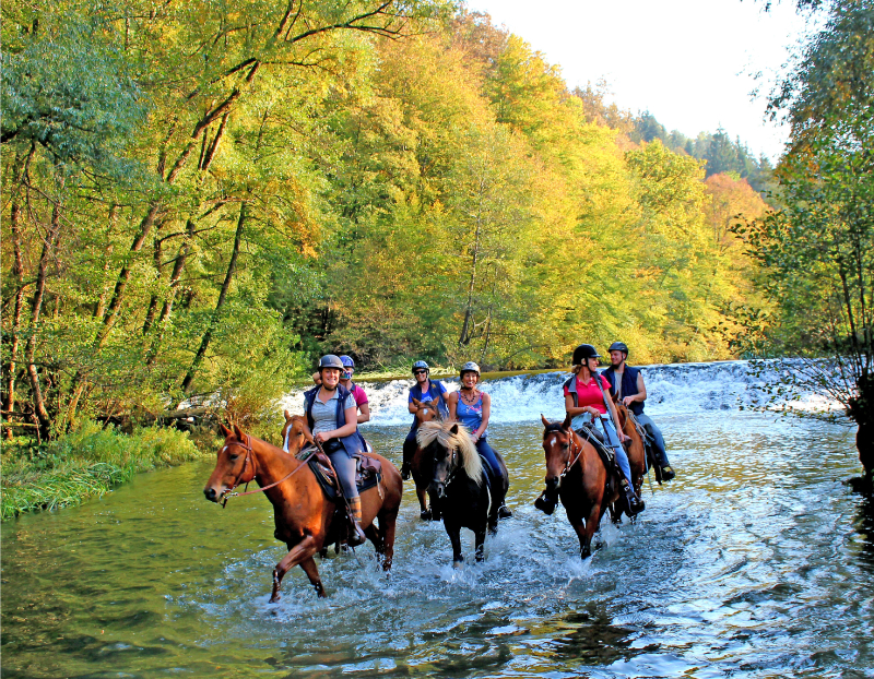 Te paard in Slovenië