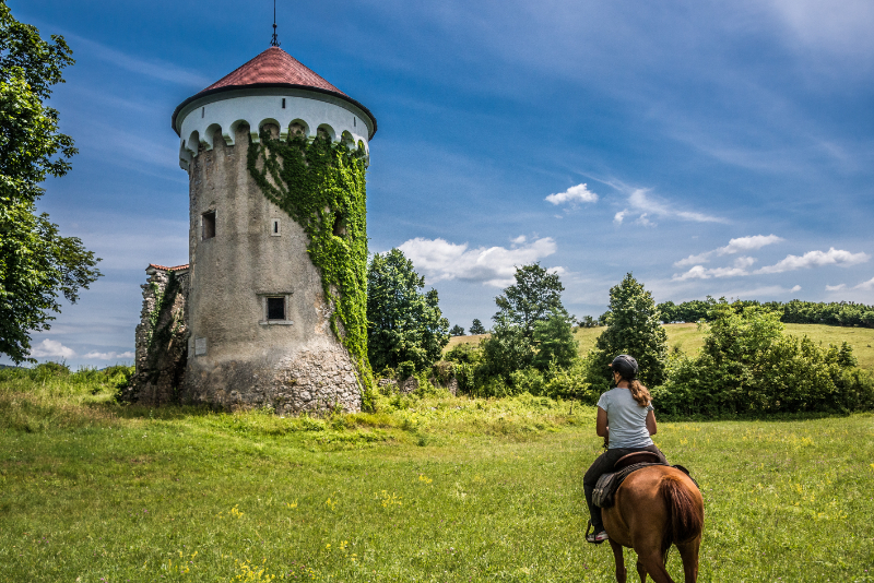 Paardrijden in Slovenië