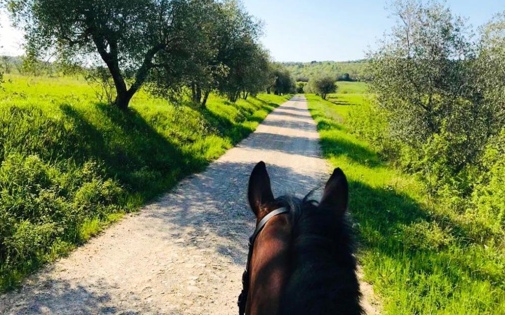 Paardrijden Italië