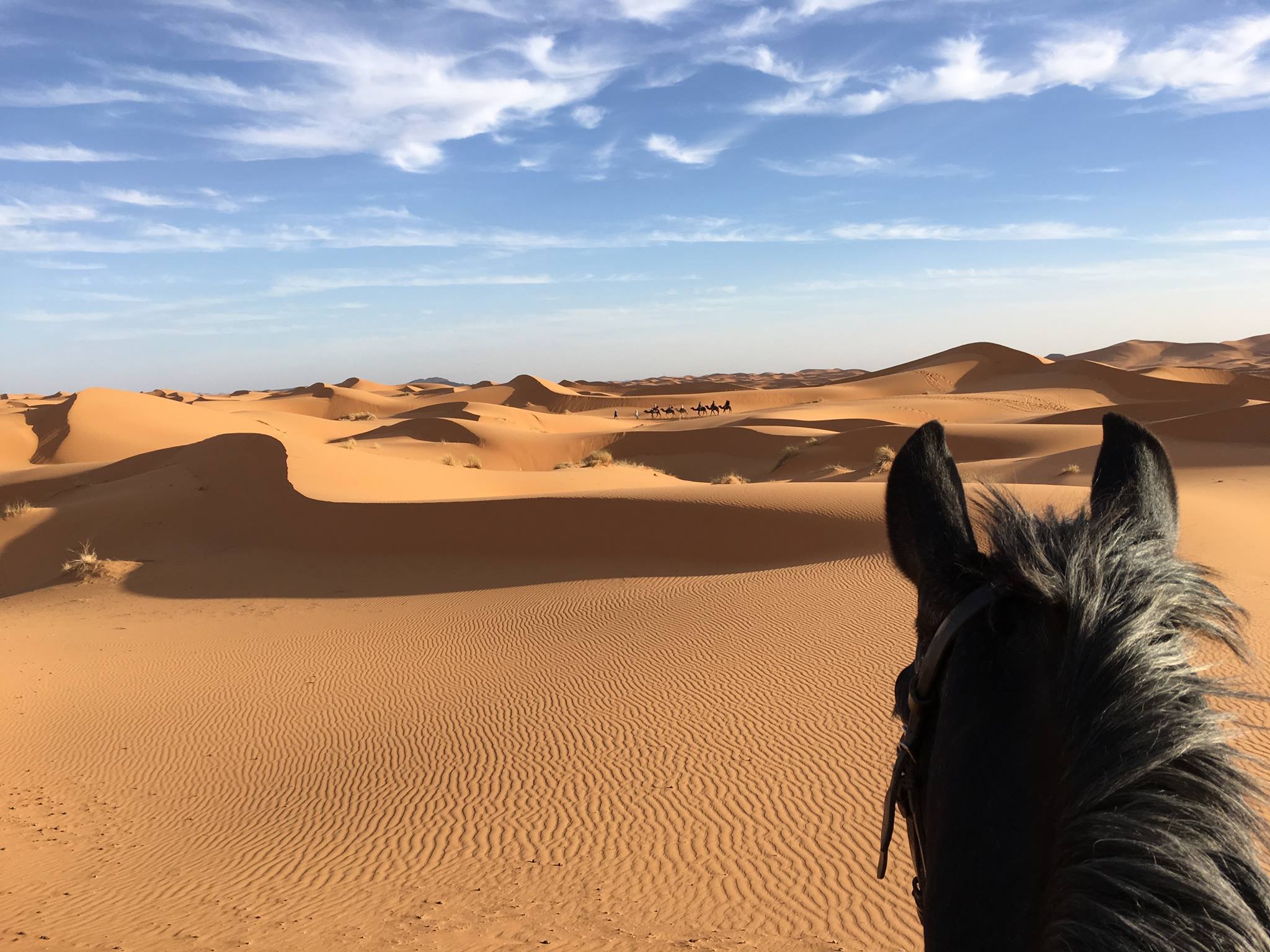 Te paard in Marokko