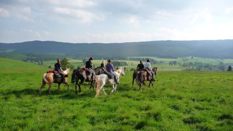 Paardrijden in Tsjechië 