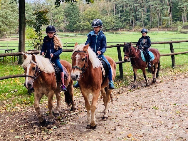 Paardrijden Nederland