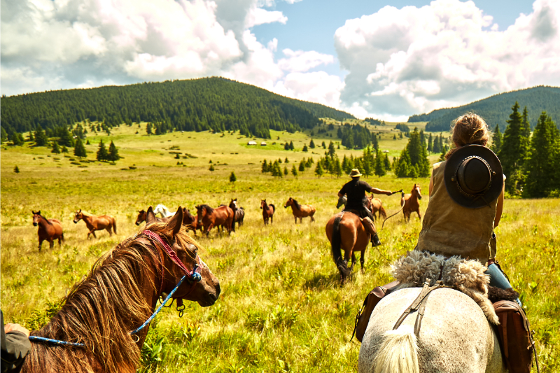 Te paard in Roemenië