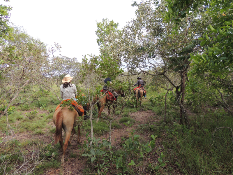 Paardrijden Brazilië