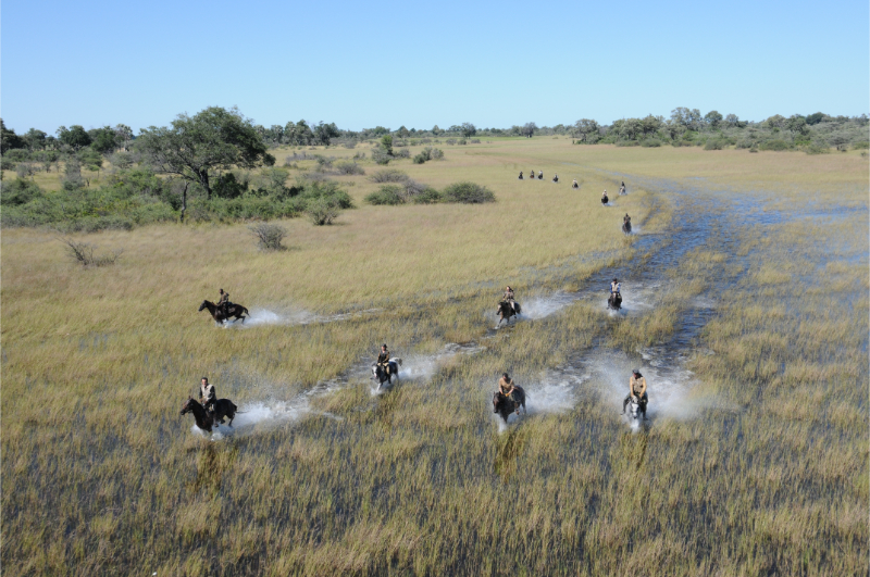 Paardrijden in de Okavango Delta, Botswana
