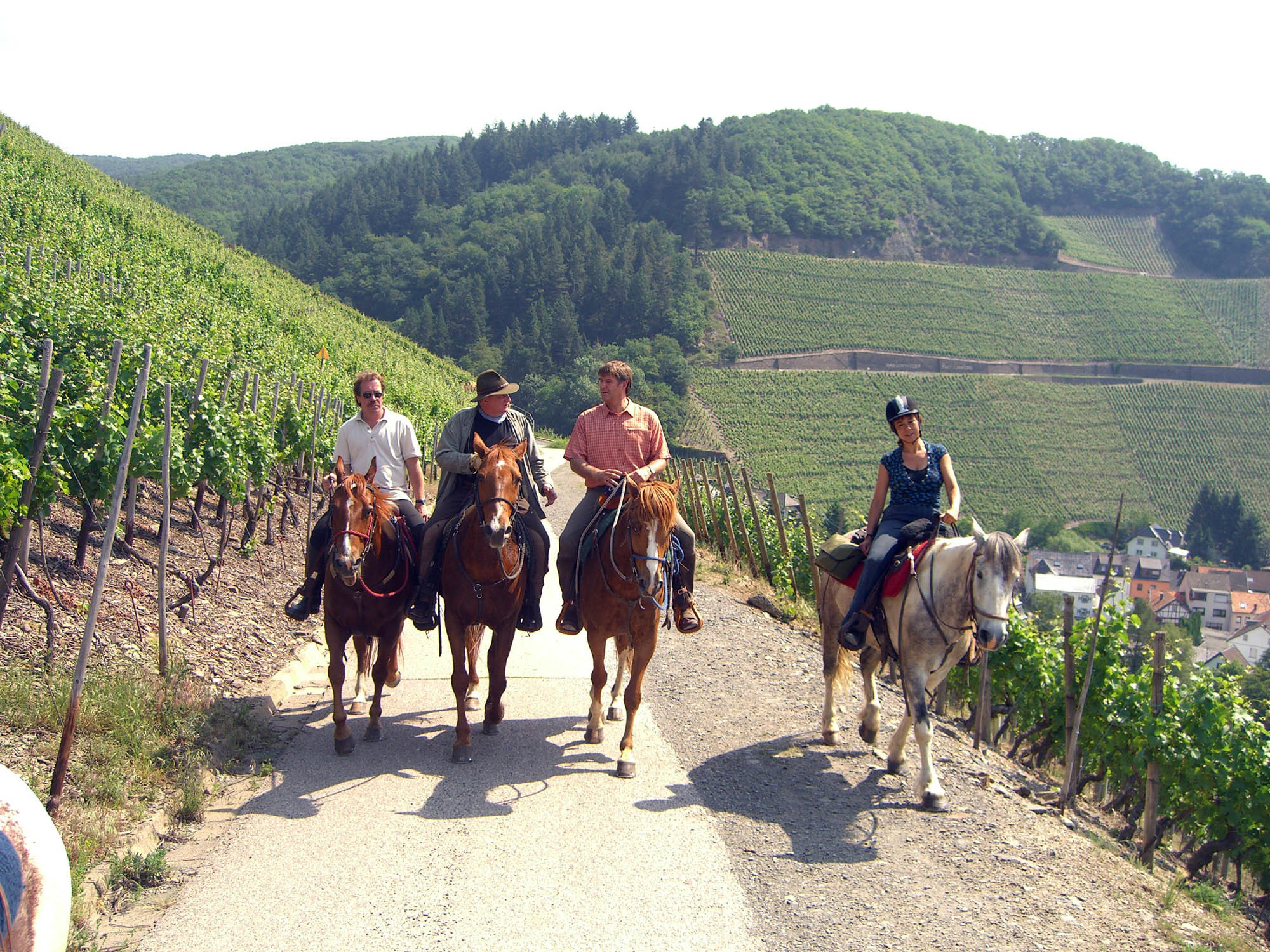 Paardrijden Eifel, Duitsland