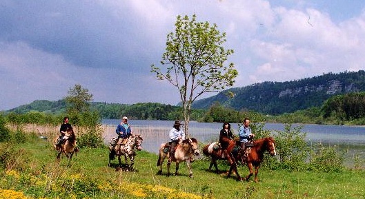 Trektocht te paard in de Jura