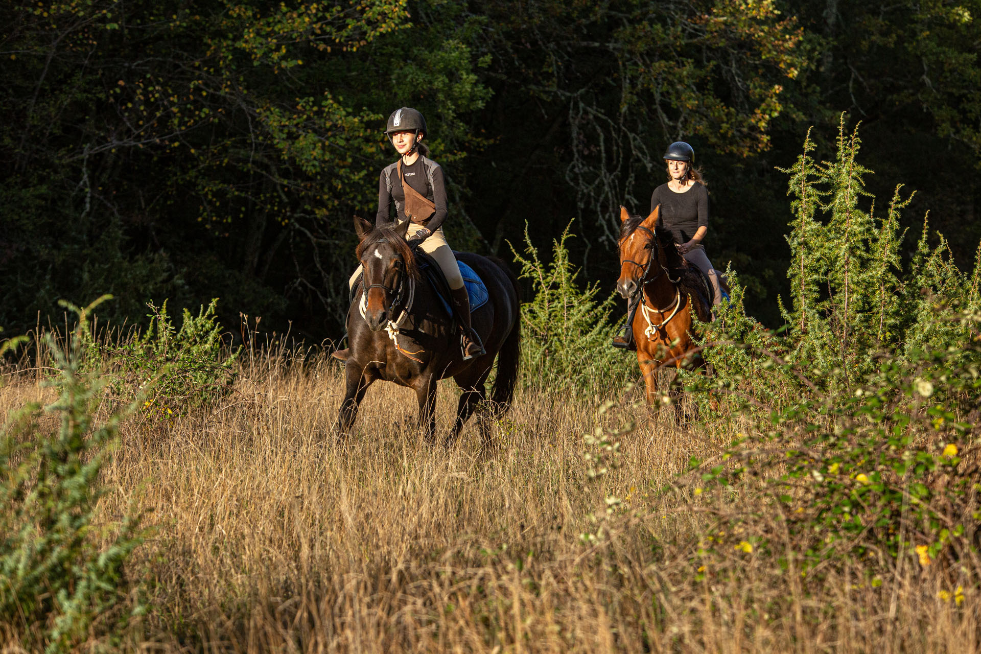 Vakantie te paard in Frankrijk