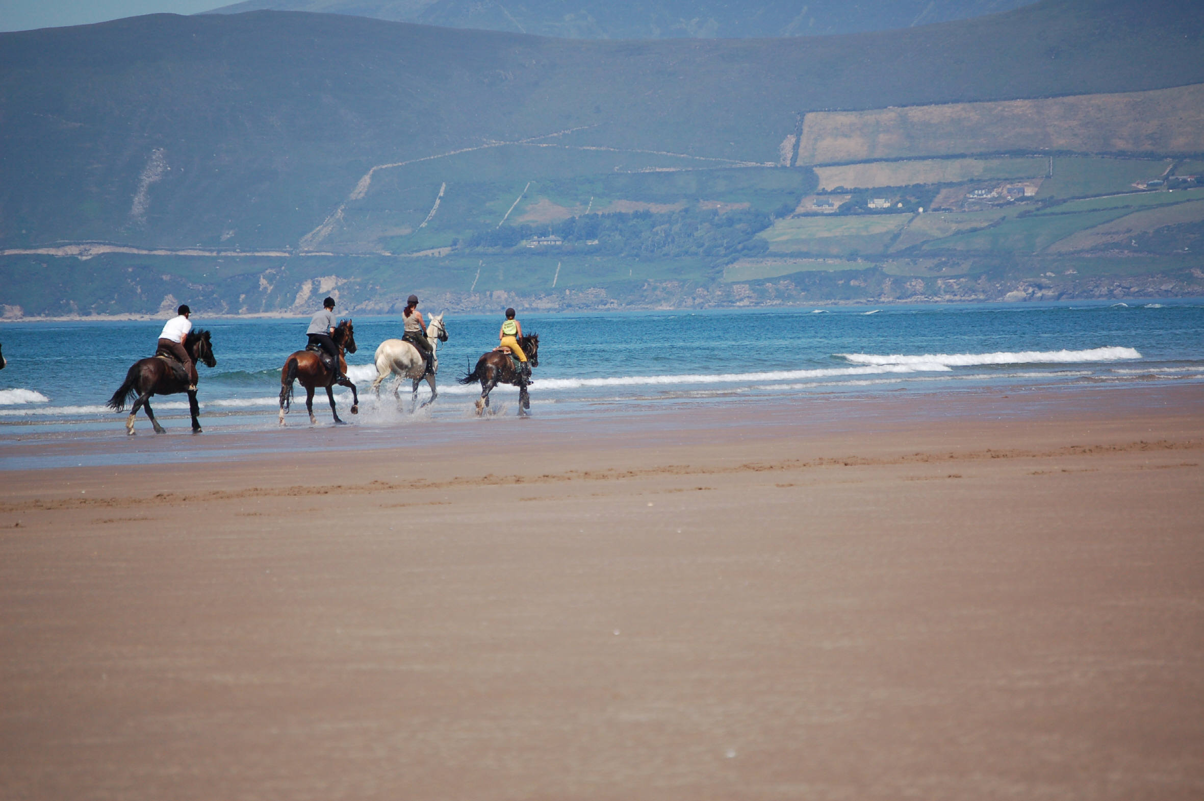Paardrijden in Ierland