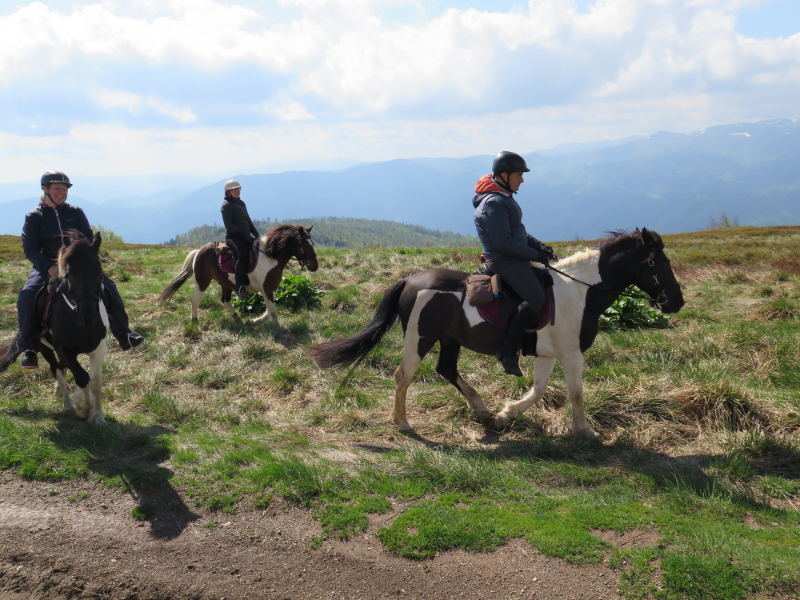 Paardrijden in  Bosnië en Herzegovina