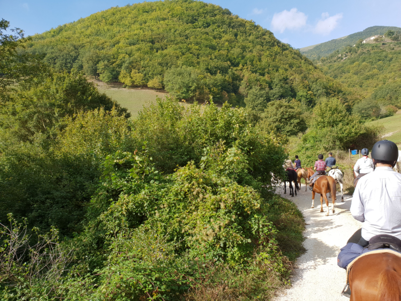Paardrijden Italië