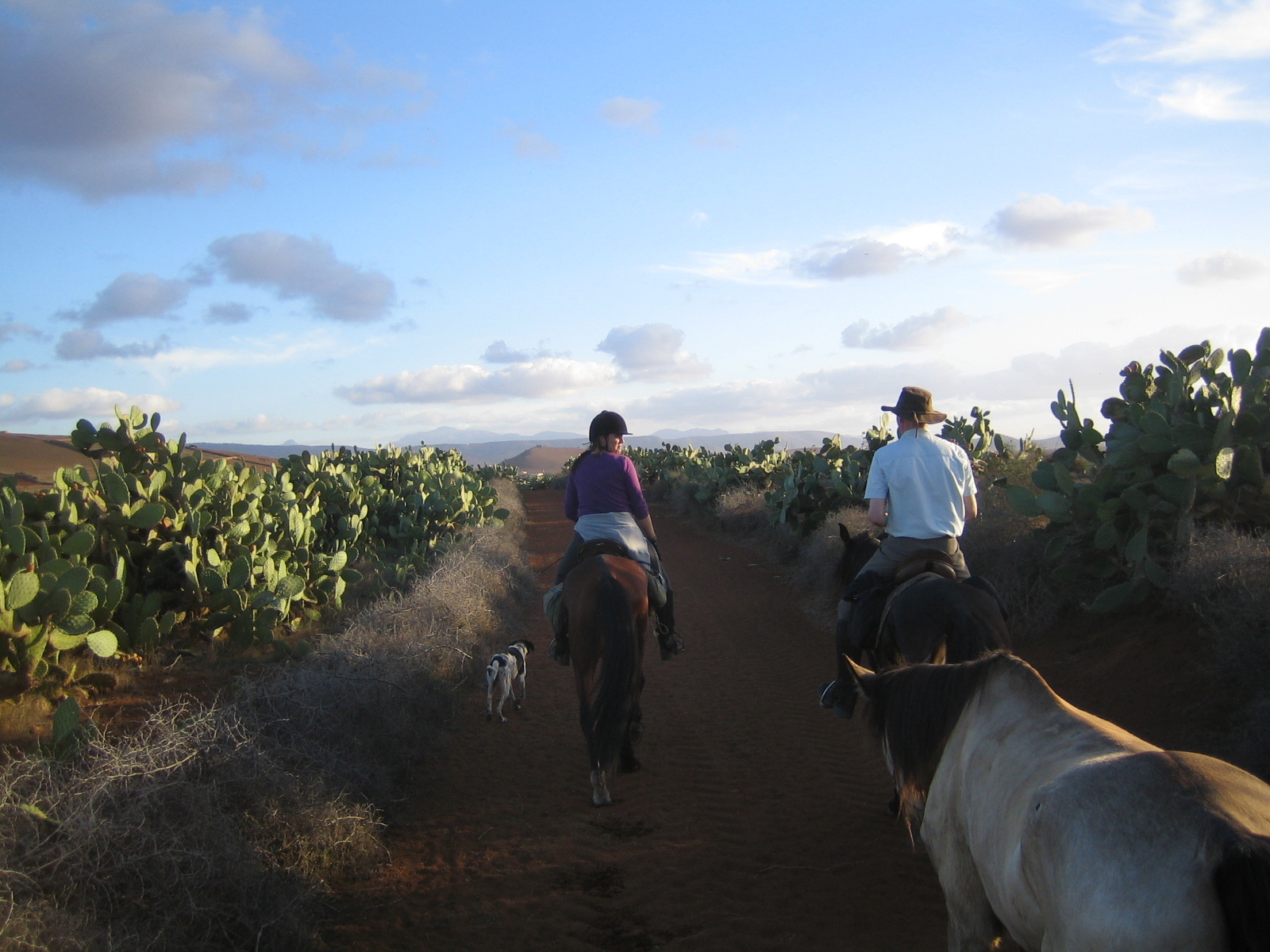 Paardrijden Marokko