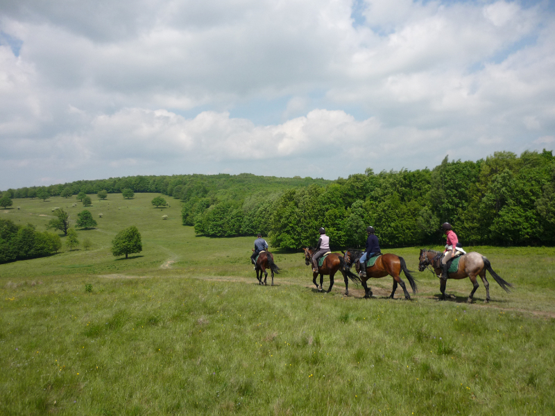 Paardrijden in Roemenië