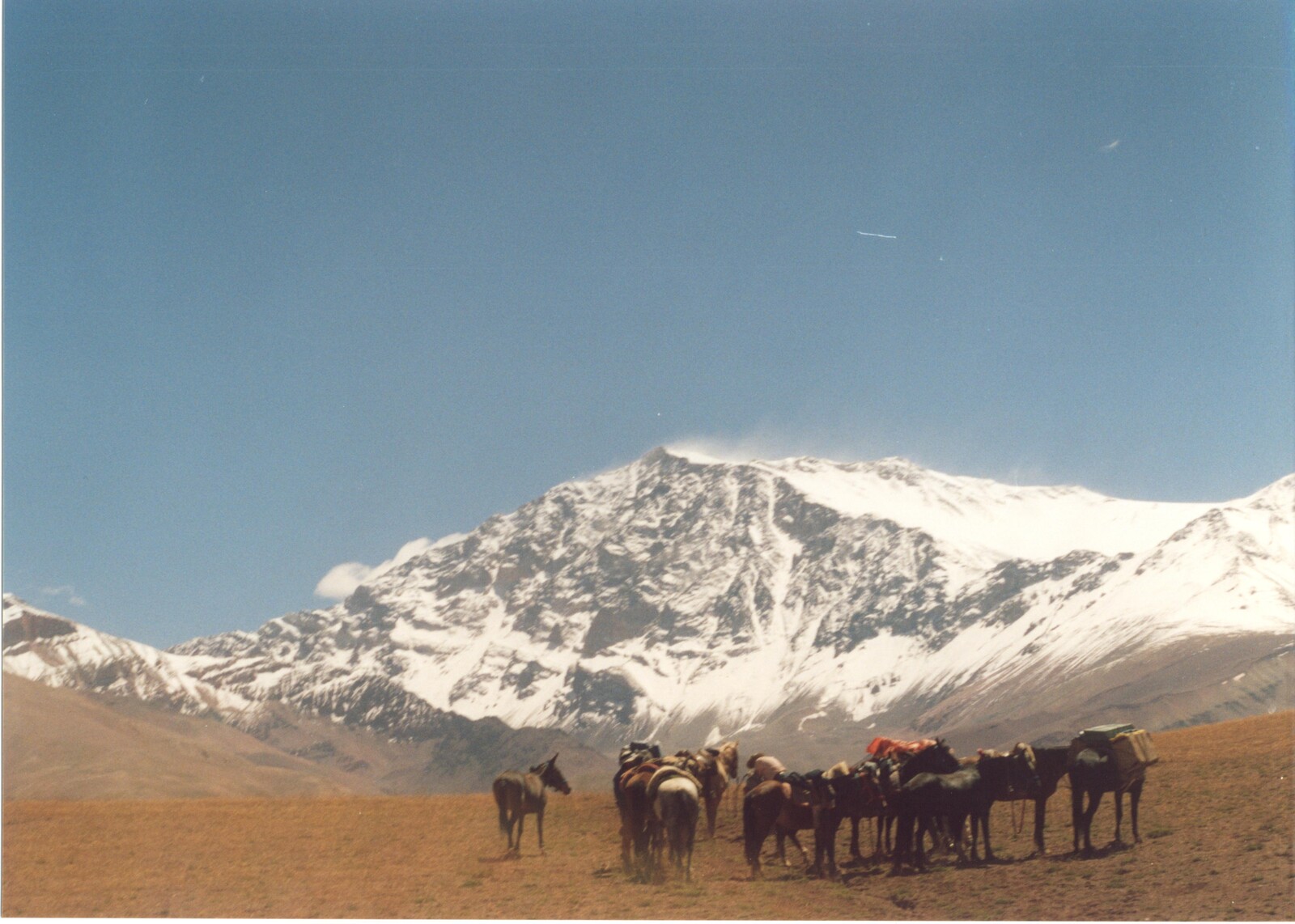 Paardrijden in Argentië 