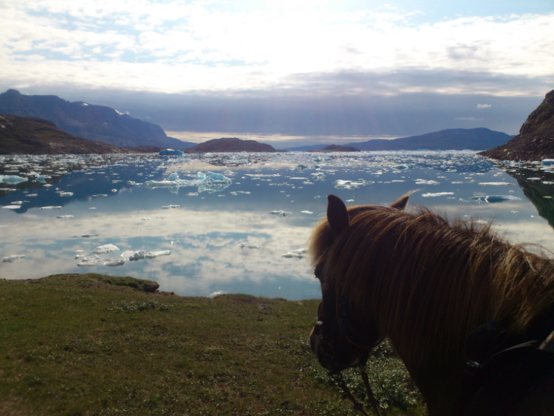 Paardrijvakantie Groenland