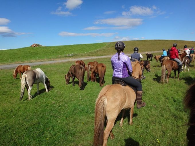 Paardrijvakantie IJsland