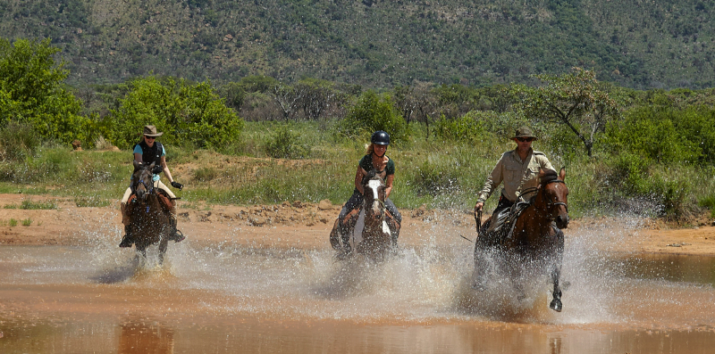 Te paard in Zuid-Afrika