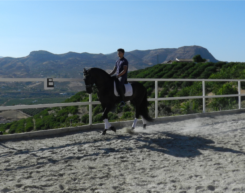 Paardrijden Spanje