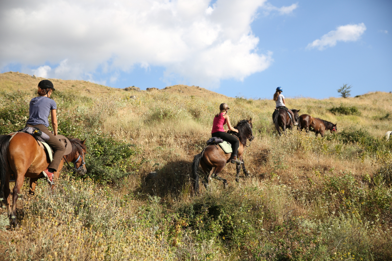 Paardrijden Albanië