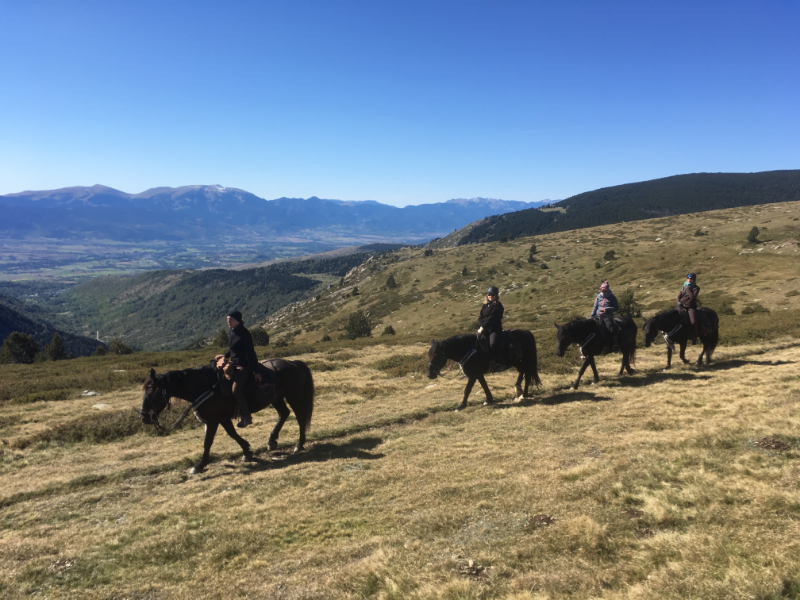 Trektocht te paard in de Pyreneeën
