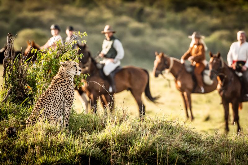 Ontdek de Masai Mara te paard 