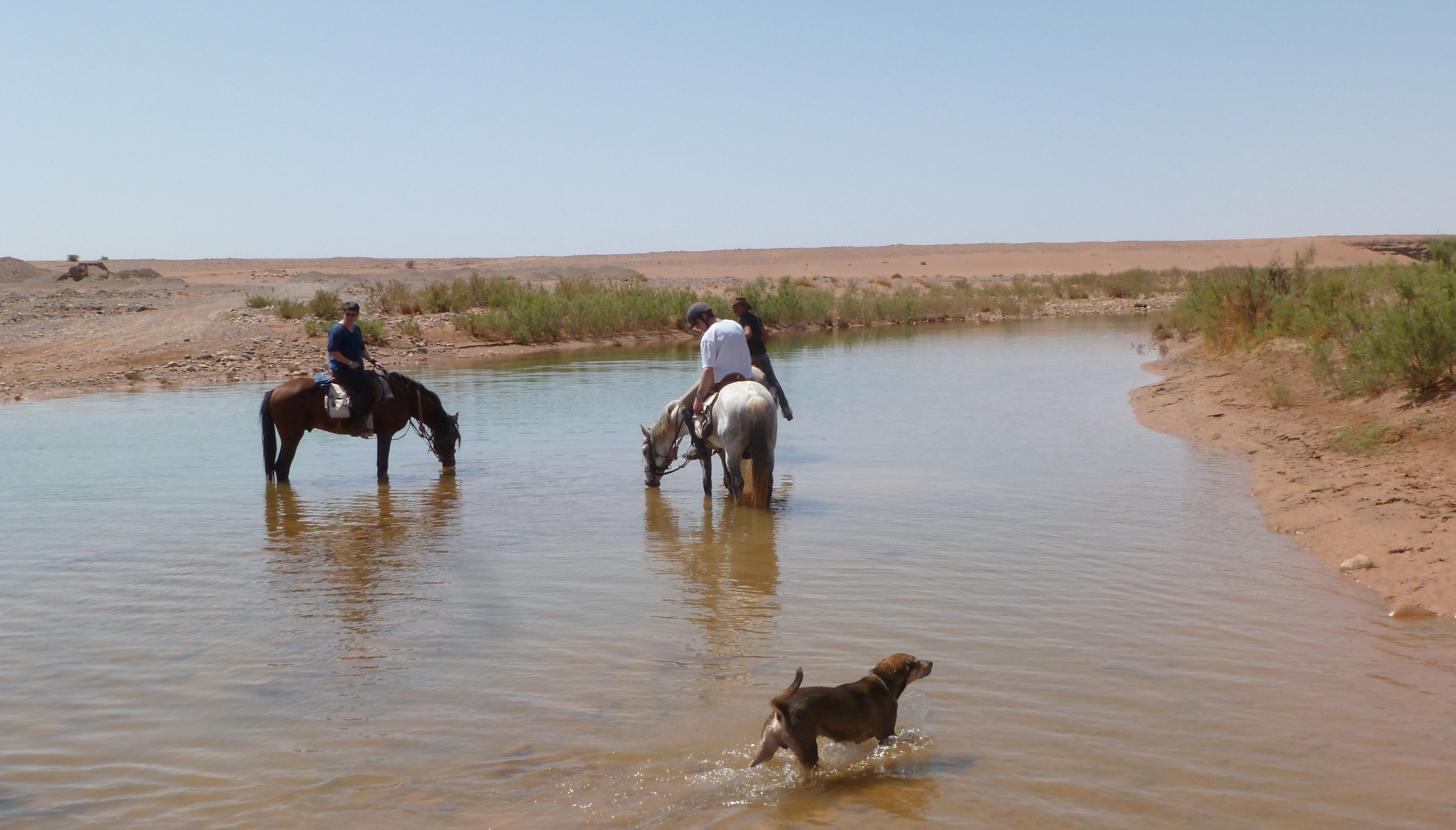 Paardrijden door het land van de Berbers