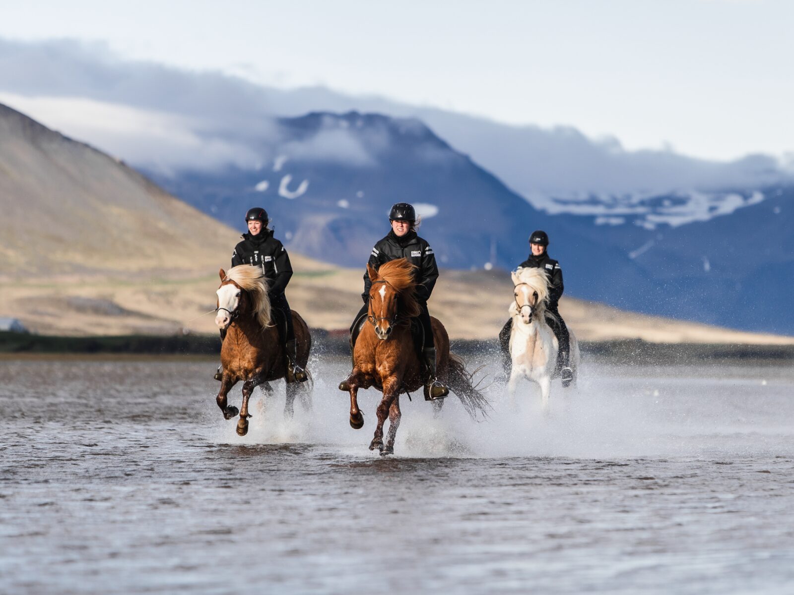 Magische Strandritten op Löngufjörur in IJsland