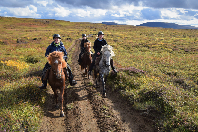 issalscp - een ontspannen paardrijvakantie in het noorden van ijsland (18).jpg