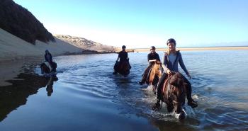 zabehss - strand en safari trektocht te paard in zuid-afrika (24).jpg