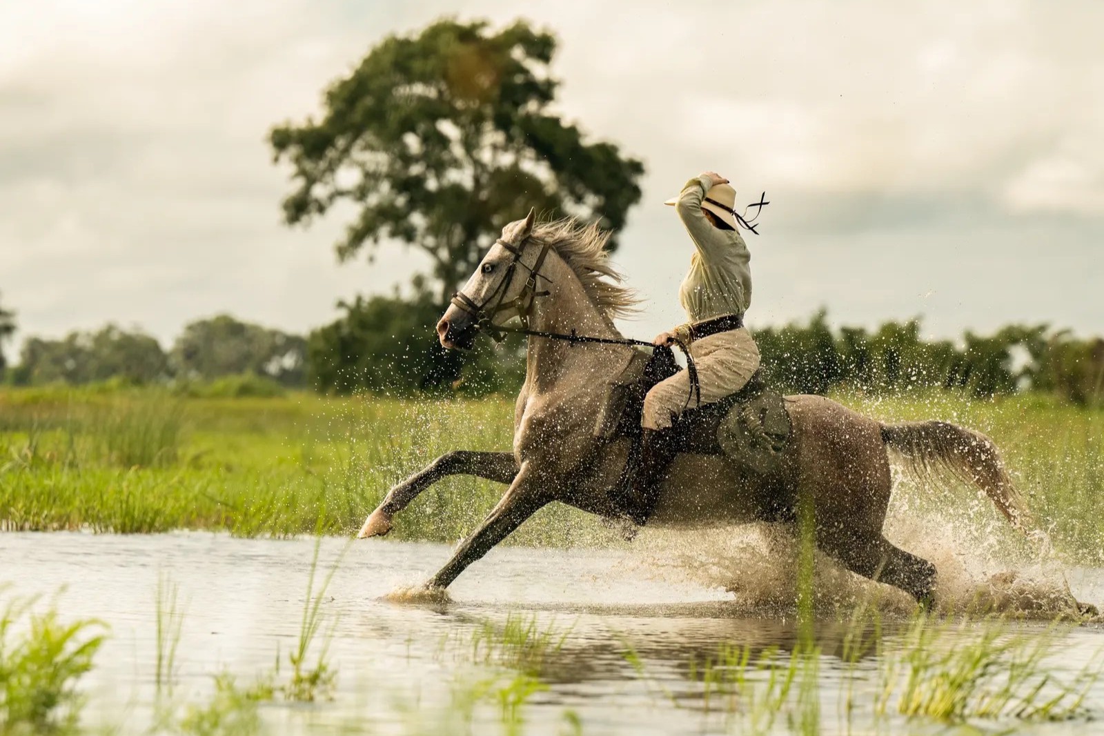 BWDFSCM-paardrijden-intiem safarikamp-okavango-delta (23)-2.jpeg