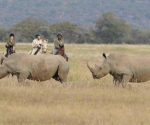 Safari te paard met Trailfinders Ruitervakanties