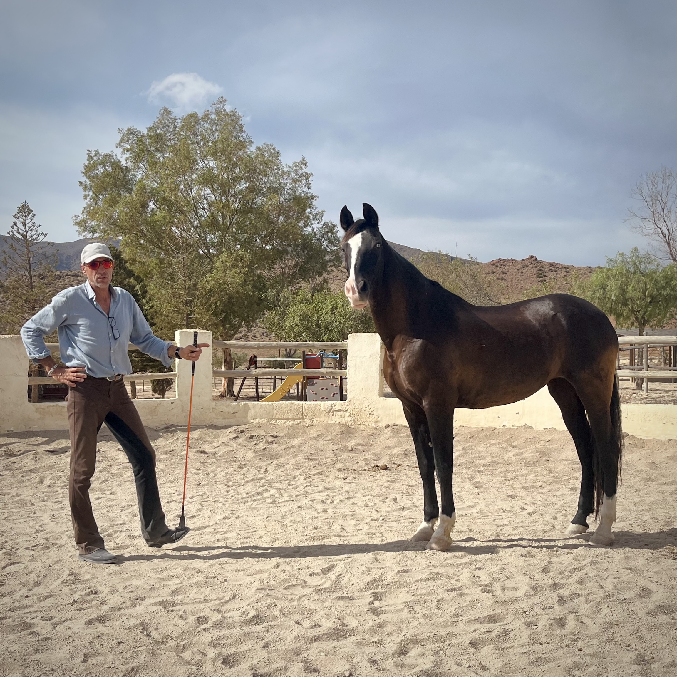 ESANCABWG-Natural-horsemanship-ethologie-cabo-de-gata (2).jpeg
